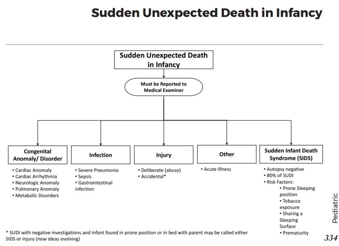 Sudi death sudden unexpected infancy sids mean does rednose